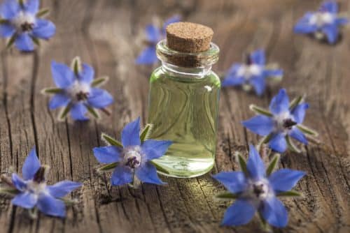 Peau mature : Savoir en prendre soin grâce à l’huile de bourrache