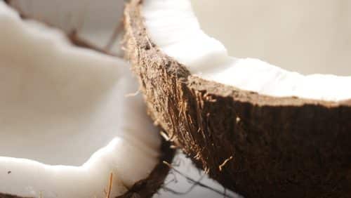 Noix de coco et régime : ce que vous devrez savoir